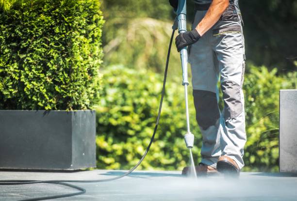 Best Patio and Deck Pressure Washing  in Ship Bottom, NJ
